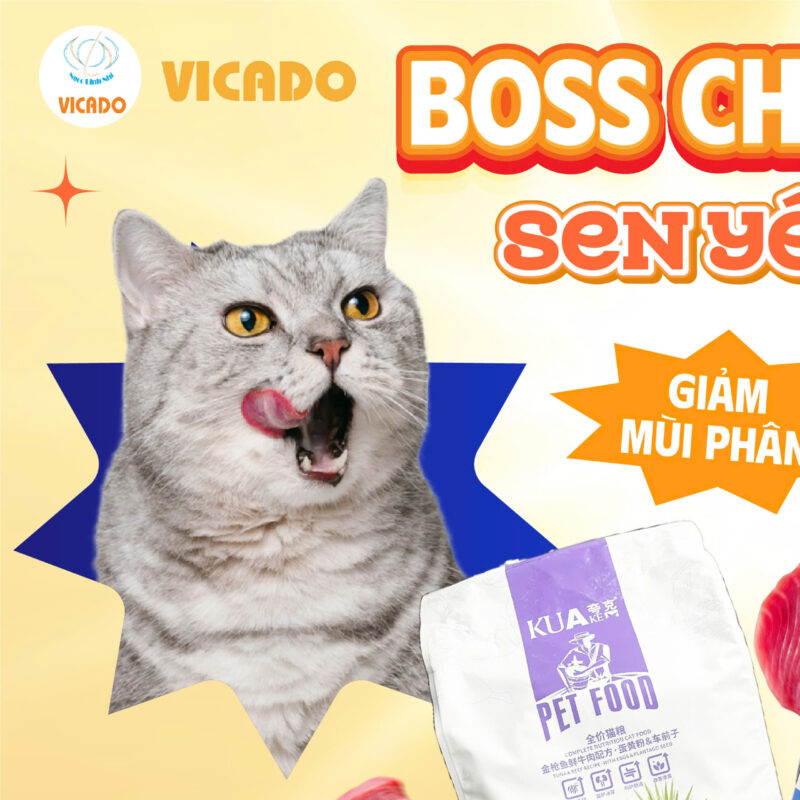 Thức ăn hạt cao cấp Kuake vị bò 1.5kg